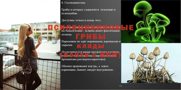 тгк Алзамай