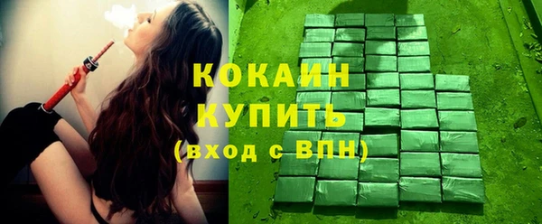 тгк Алзамай
