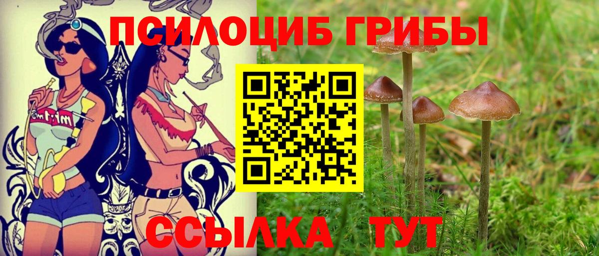 Галлюциногенные грибы Cubensis Курганинск